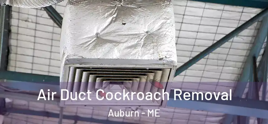  Air Duct Cockroach Removal Auburn - ME