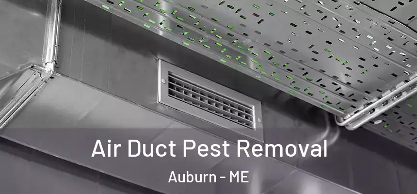  Air Duct Pest Removal Auburn - ME