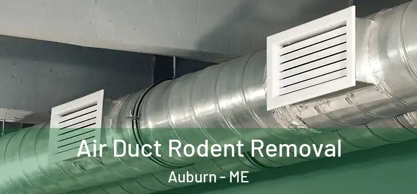  Air Duct Rodent Removal Auburn - ME