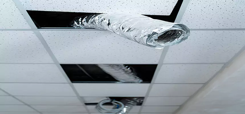 Our Air Duct Pet Hair Removal Services in Auburn, ME