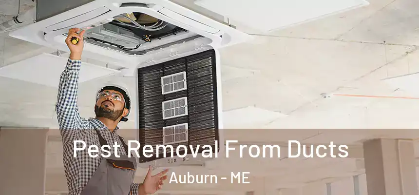  Pest Removal From Ducts Auburn - ME