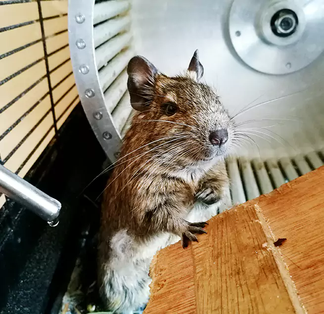 Why Homeowners & Businesses Trust Us Auburn, ME